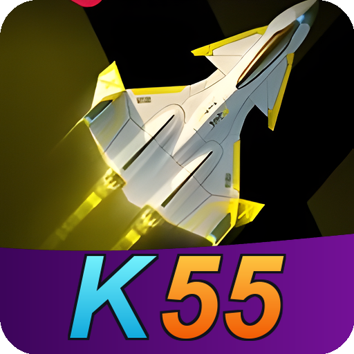 Formulário de Registro K55